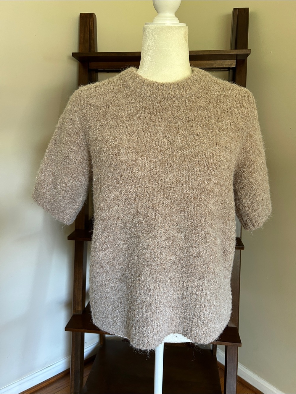 Cozy Short-Sleeve Wool Blend Crewneck Sweater in Light Taupe